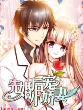 先婚后宠小娇妻第一季