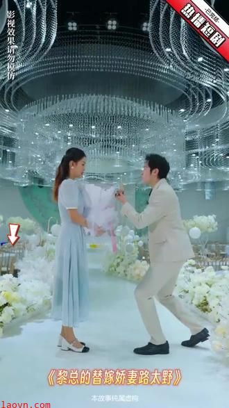 黎总的替嫁娇妻路太野