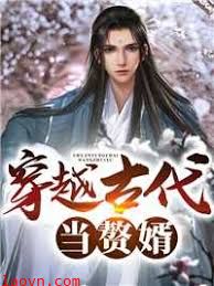 穿越古代当赘婿