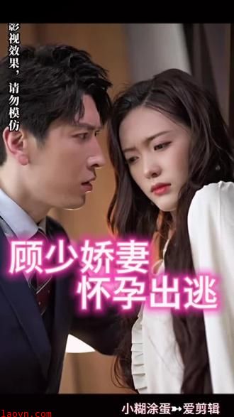 顾少娇妻怀孕出逃