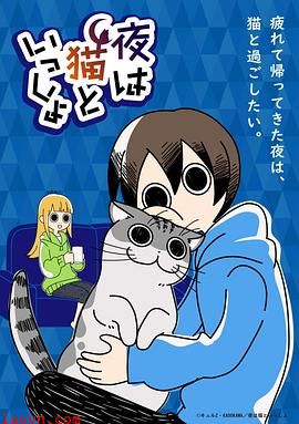 关于养猫我一直是新手