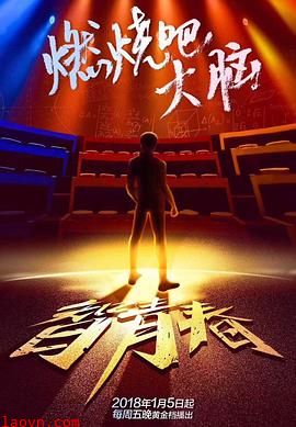 最强大脑之燃烧吧大脑第一季