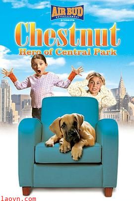 切斯纳特：中央公园的英雄