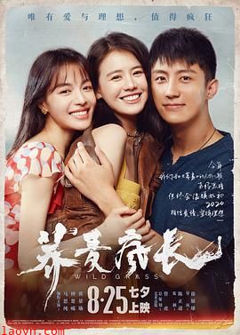 和荞麦一起疯长的日子下集