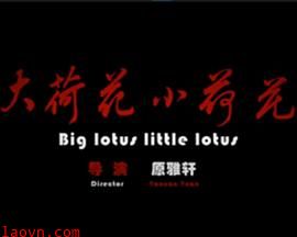 大荷花小荷花