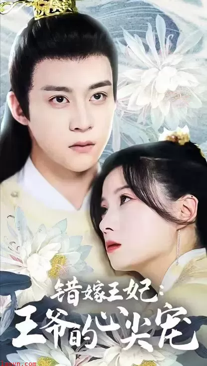 错嫁王妃王爷的心尖宠