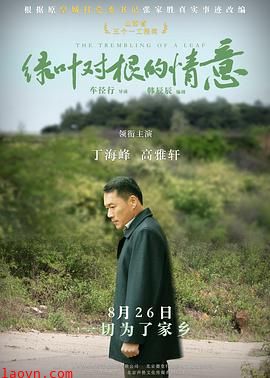 绿叶对根的情意