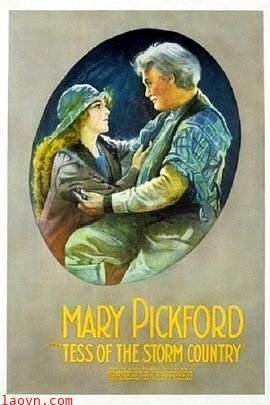 风暴之乡的苔丝