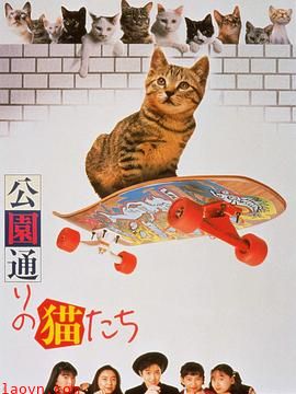 公园路的猫们
