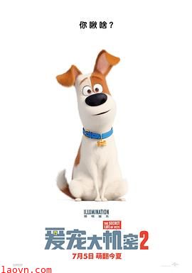 爱宠大机密2