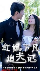 红娘下凡追夫记