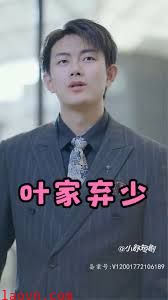 叶家弃少