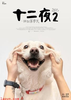 十二夜2:回到第零天