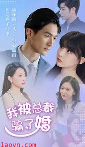 我被总裁骗了婚