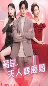 褚总夫人要离婚