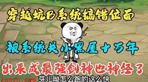 穿越系统搞错位面，被关小黑屋十万年