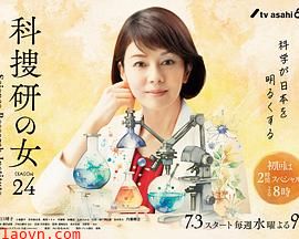 科搜研之女第24季