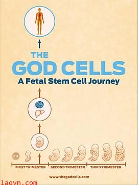 生死之争:胎儿干细胞