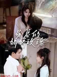 易总的娇娇玫瑰