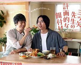 三矢老师的计划式投喂。