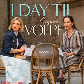 狐狸女士第二季