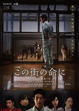 为了这条街的生命