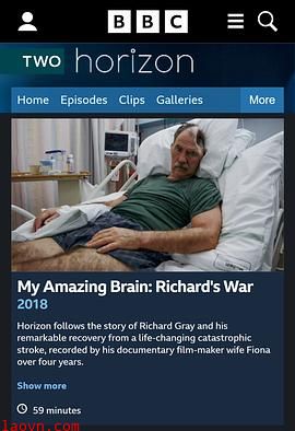 地平线系列:我的神奇大脑