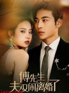 傅先生夫人又闹离婚了