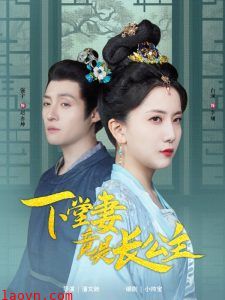 下堂妻竟是长公主