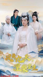 凤舞九天涅槃重生