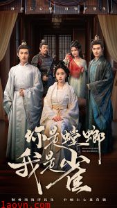 你是螳螂我是雀