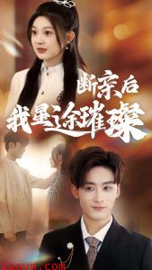 归来后我星途璀璨