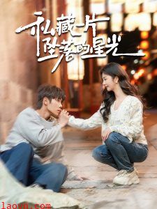 私藏一片坠落的星光