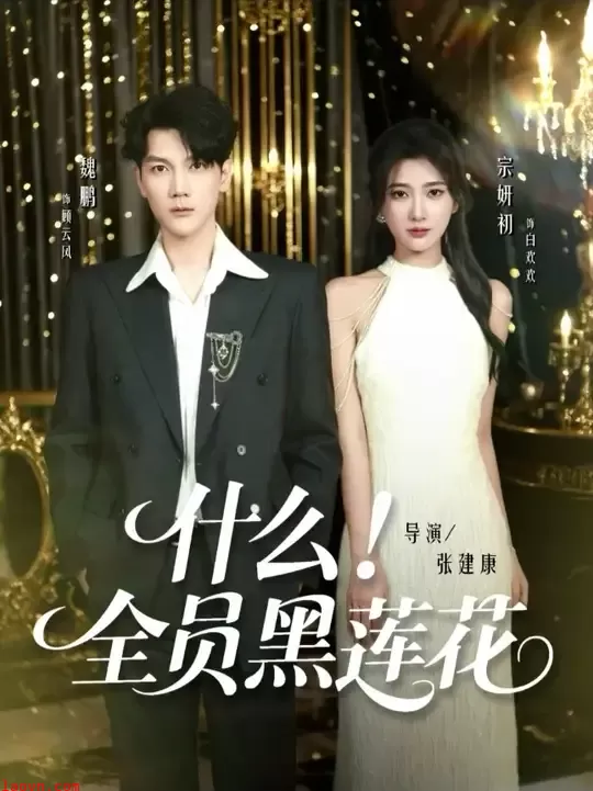 什么全员黑莲花