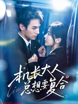 机长大人总想要复合