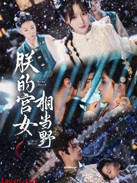 朕的宫女相当野