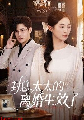 封总，太太的离婚生效了