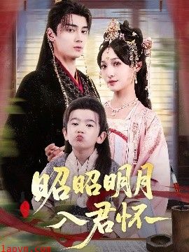 昭昭明月入君怀