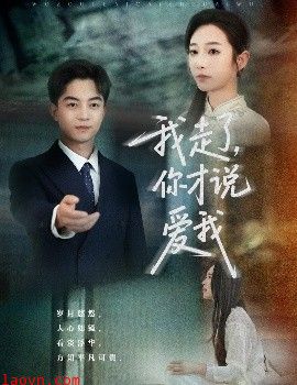 我走了你才说爱我