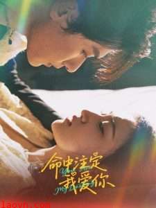 命中注定我爱你63集