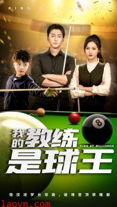 我的教练是球王