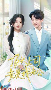 顶头上司竟是我老公