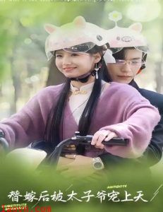 替嫁后被太子爷宠上天