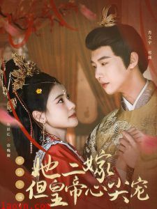 惹她干嘛，她二嫁但皇帝心尖宠