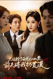 只因抢了白月光的机票前夫将我扔荒漠