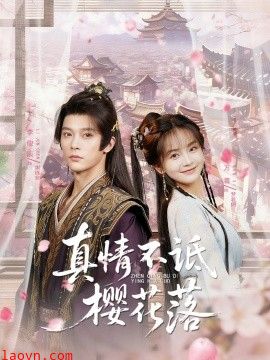 真情不诋樱花落