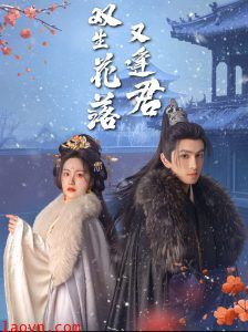 双生花落又逢君