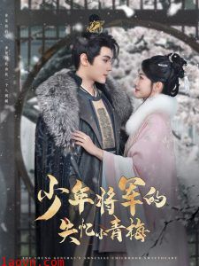 少年将军的失忆小青梅