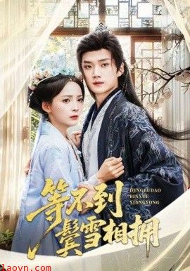 等不到鬓雪相拥