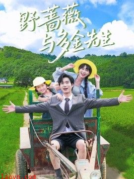 野蔷薇与多金先生